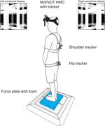 Improving balance using augmented visual orientation cues: a proof of concept